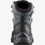 Bottes de montagne Salomon Quest Element Gore-Tex Gris