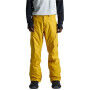 Pantalons de neige Burton Cargo Regular Jaune Homme