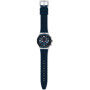 Montre Homme Swatch YVS454