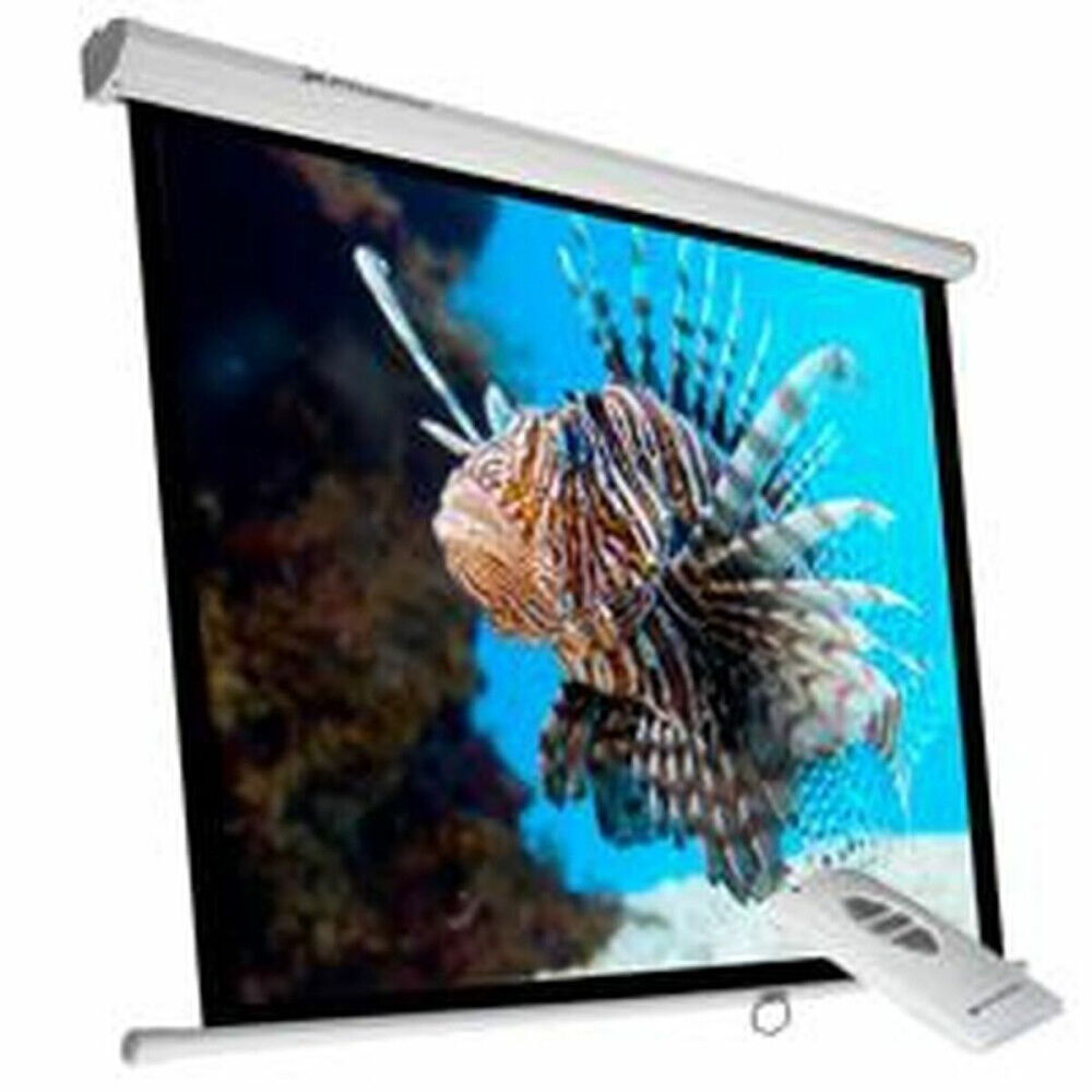Écran de Projection pour Ordinateur Phoenix PHPANTALLA-ELEC240