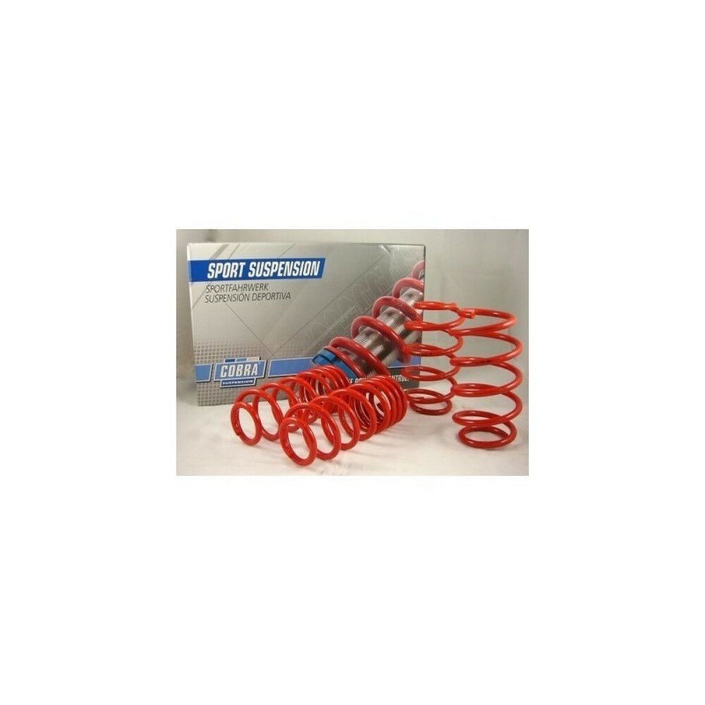 Kit de Ressorts Cobra COB002828 40 / 40 mm