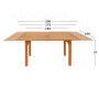 Table extensible Aktive Bois d'acacia 200 x 74 x 100 cm