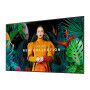 Moniteur Videowall Samsung QH43C 4K Ultra HD 43"