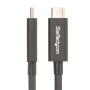 Câble USB Startech A40G2MB-TB4-CABLE Noir 2 m