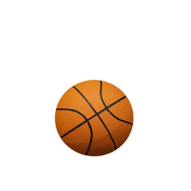 Ballons de basket-ball